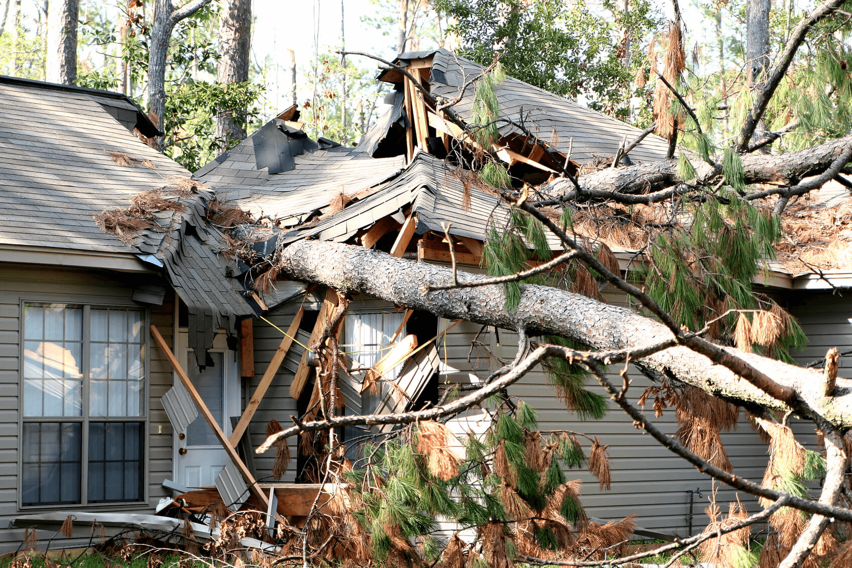 What to Do When a Tree Falls on Your House Landmark Exteriors