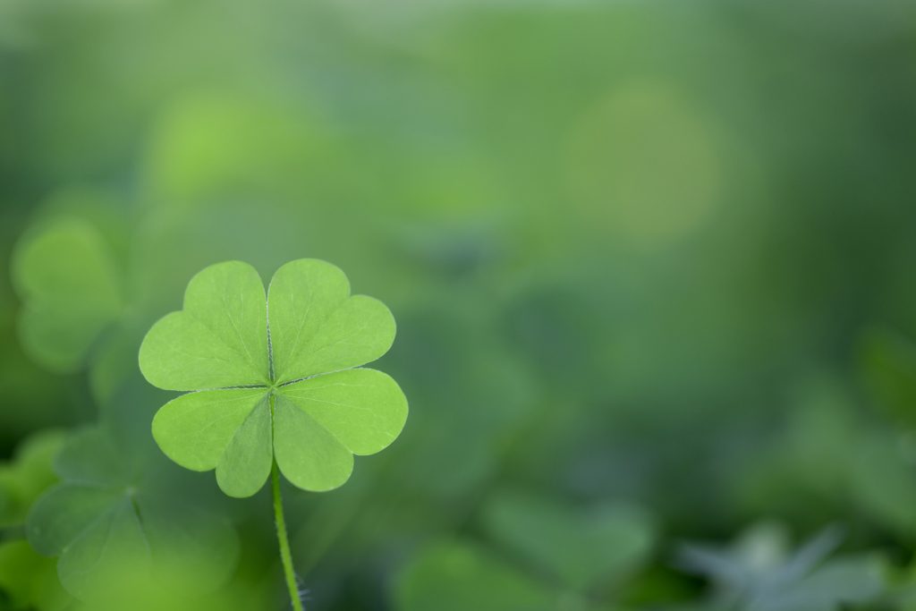 St. Patrick's Day Events In Connecticut | Roofing Specialists | CT | Landmark Exteriors |