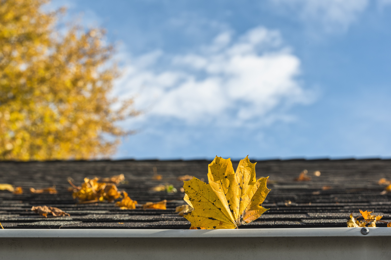 cedar siding - roof installers - cedar roof installation - slate roofing - asphalt roofing - fairfield county - darien - new canaan