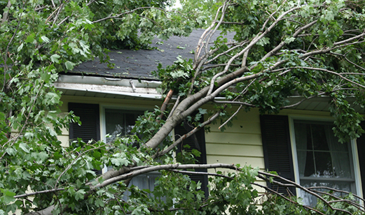 cedar siding - roof installers - cedar roof installation - slate roofing - asphalt roofing - fairfield county - darien - new canaan