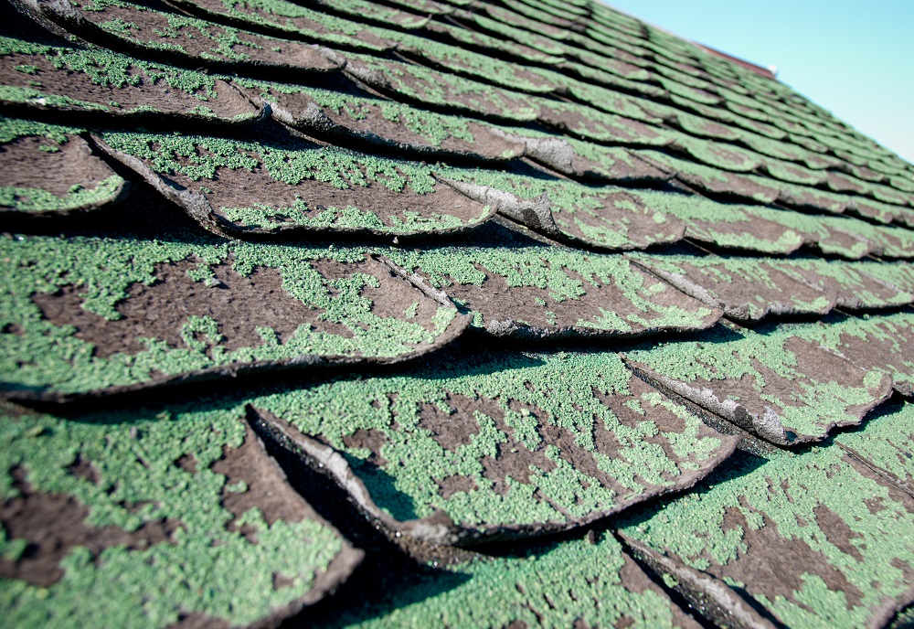 roof damage