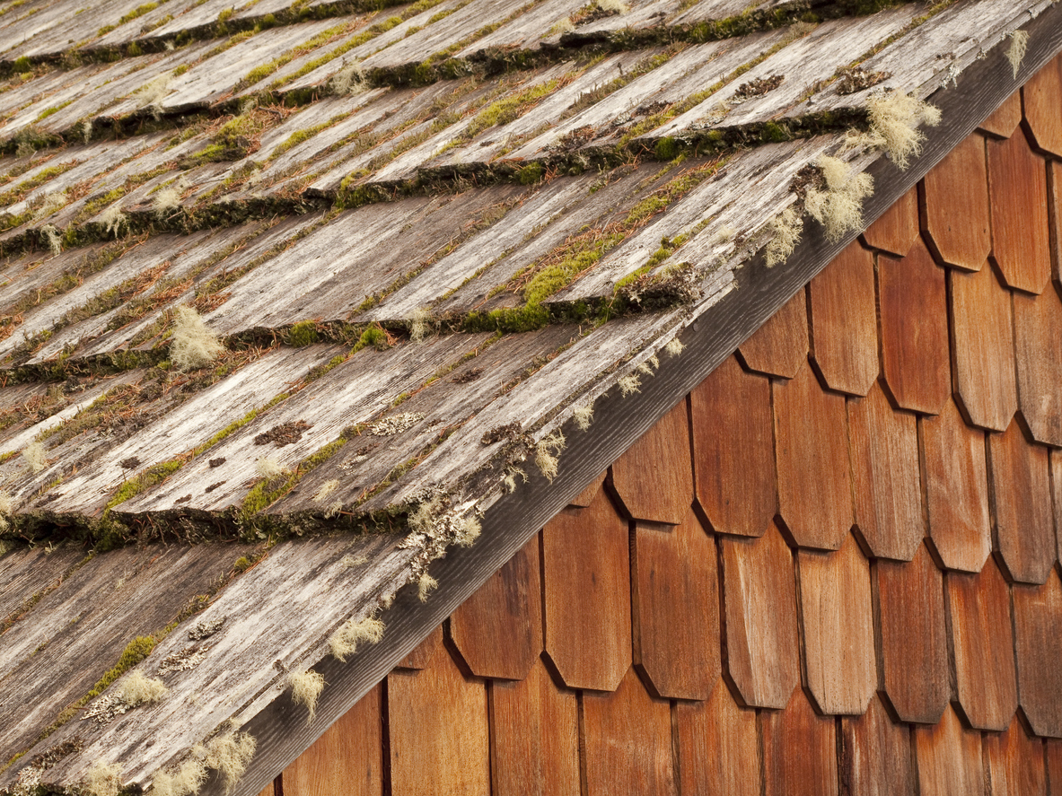 old cedar roof