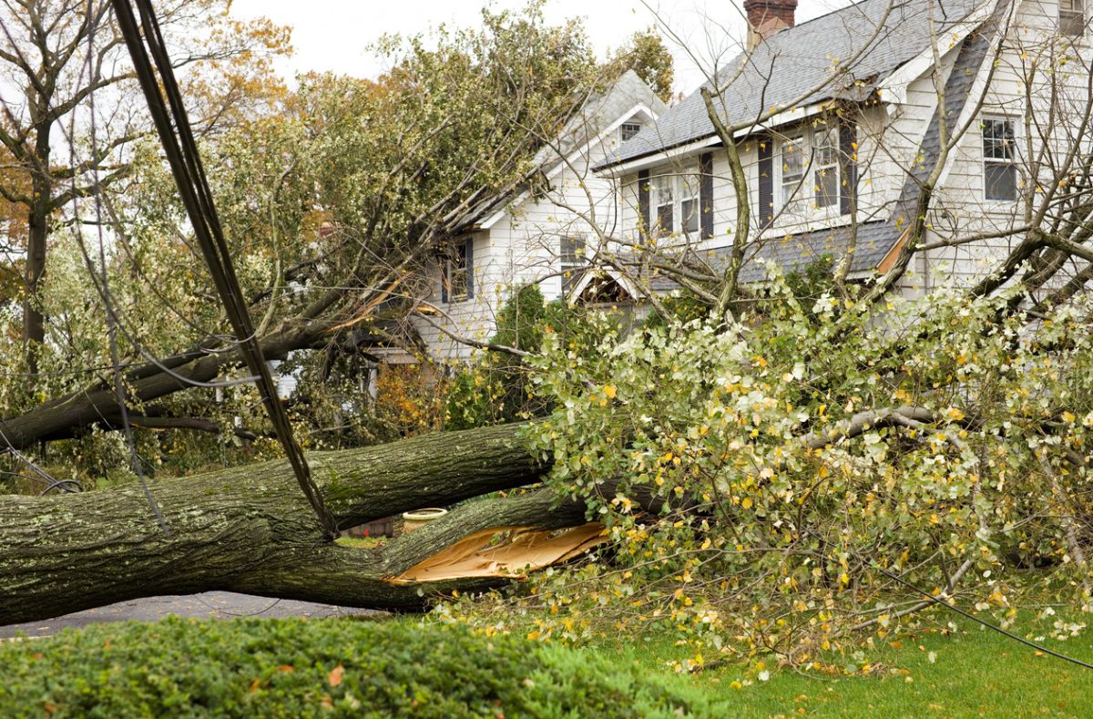 How to Check for Roof Damage After a Summer Storm