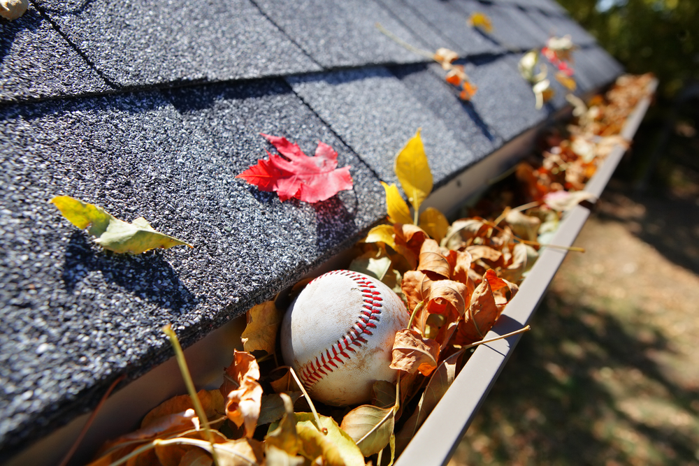 Common Items That Clog Your Gutters