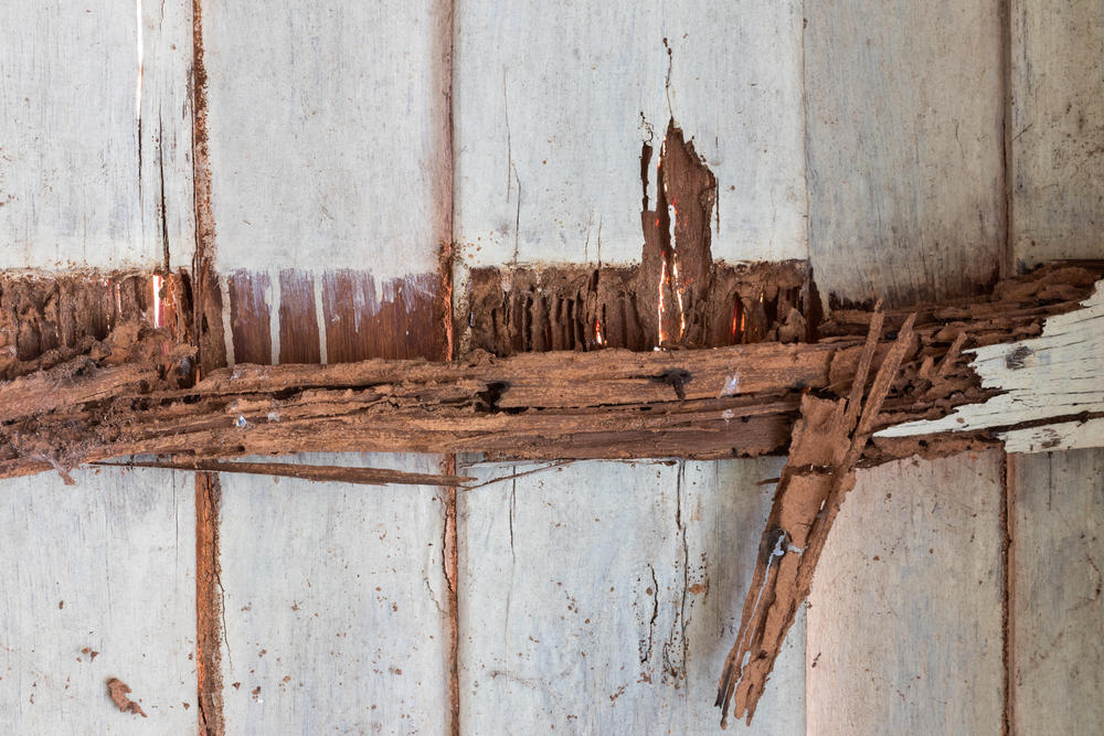 Replacing Rotted House Trim