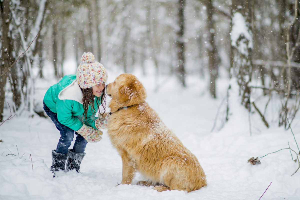 A small girl and her golden retriever are playing outside in the forest in winter. They are touching noses. The girl is bending down and the dog sits on the snow-covered ground.