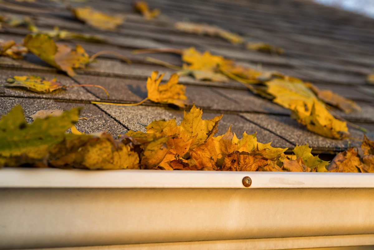 8 Tips For Preparing Your Home For The Fall Season