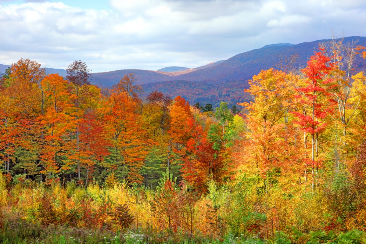 Peak fall foliage in New Hampshire