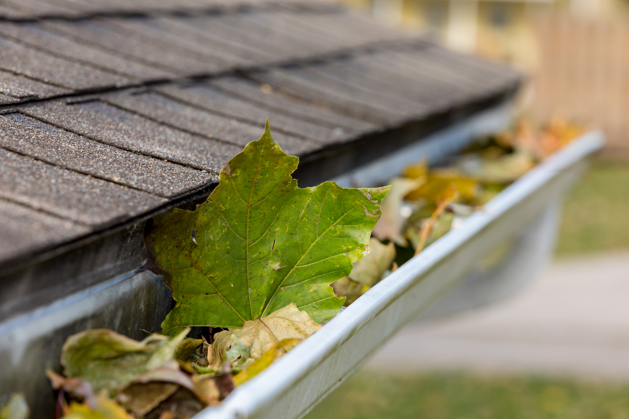 Why Spring Gutter Repair is Essential LANDMARK EXTERIORS