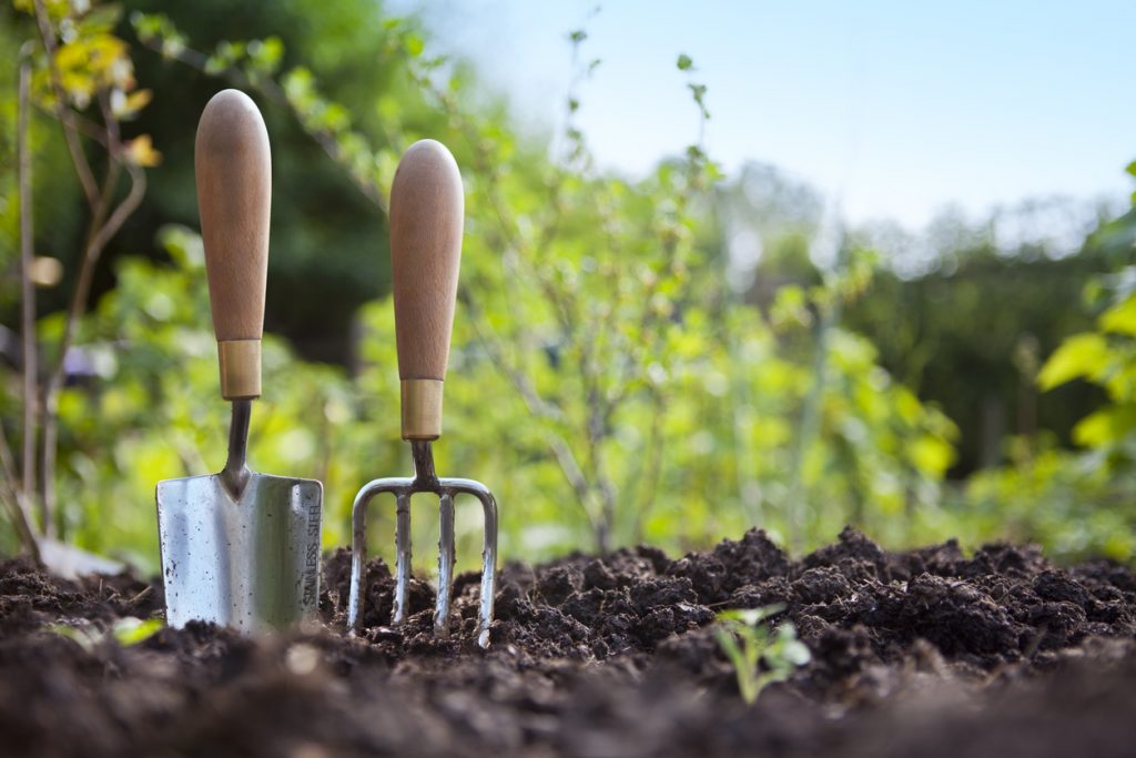 Beginner Gardening Tips LANDMARK EXTERIORS