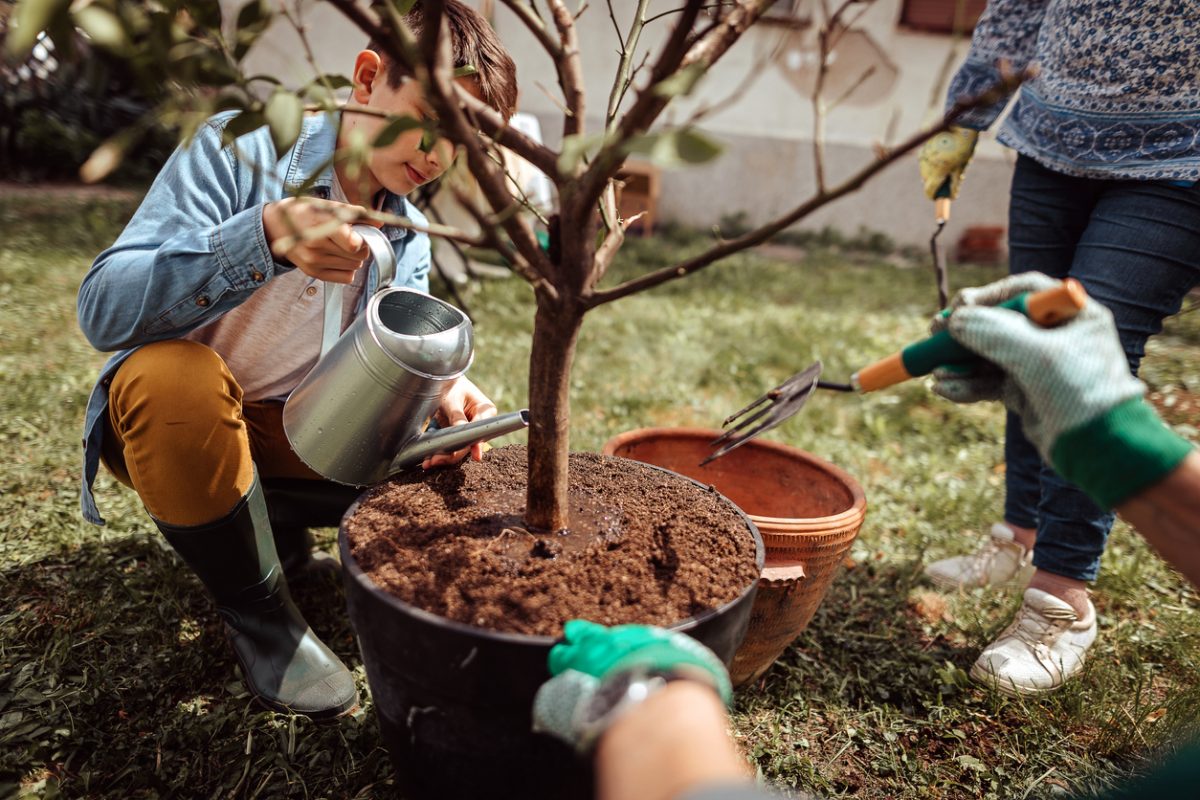 Multi-generation family working together and taking care of new plant at their backyard