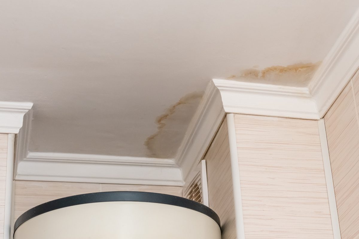 What To Do If Your Roof Is Leaking