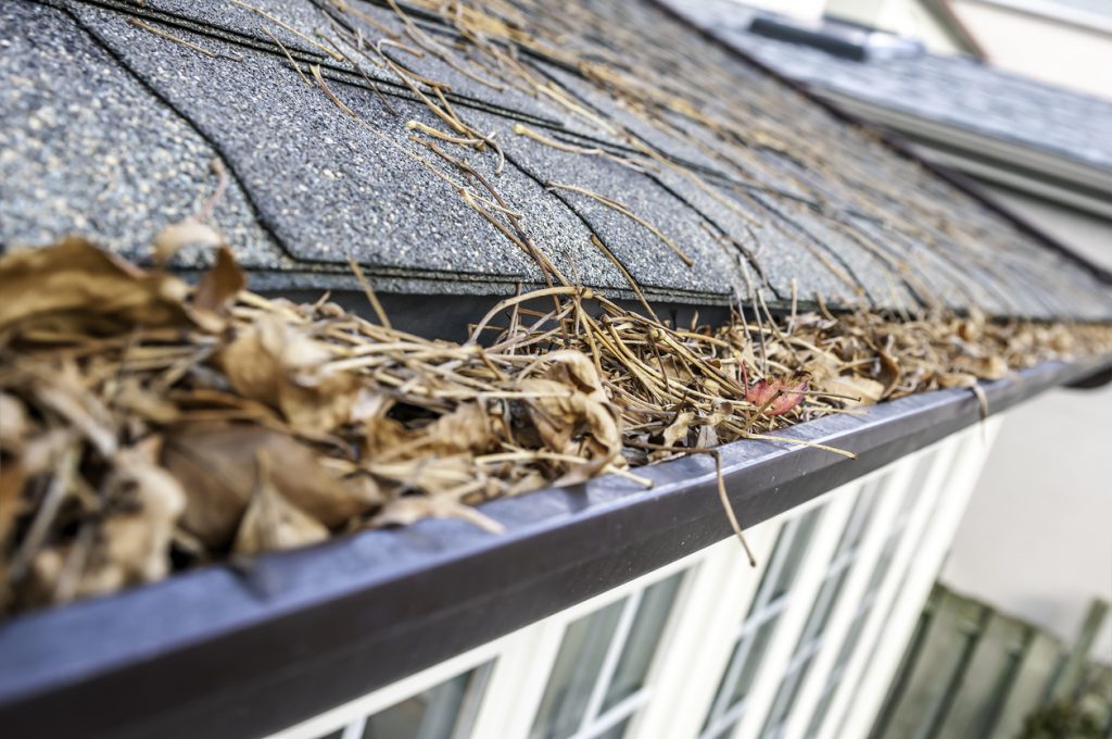 DIY Gutter Cleaning Tips LANDMARK EXTERIORS