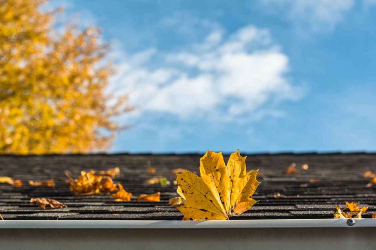 How Do I Remove Leaves From My Roof?
