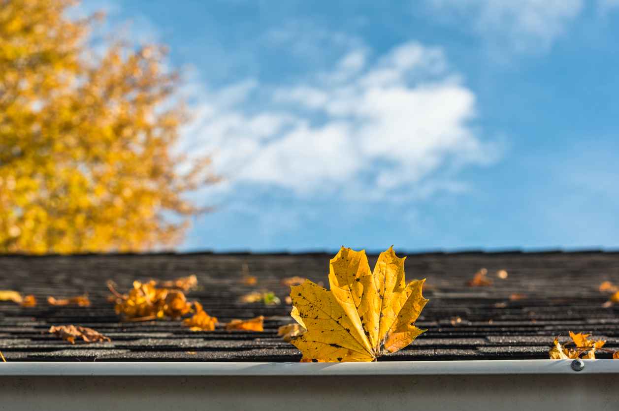 How Do I Remove Leaves From My Roof? LANDMARK EXTERIORS