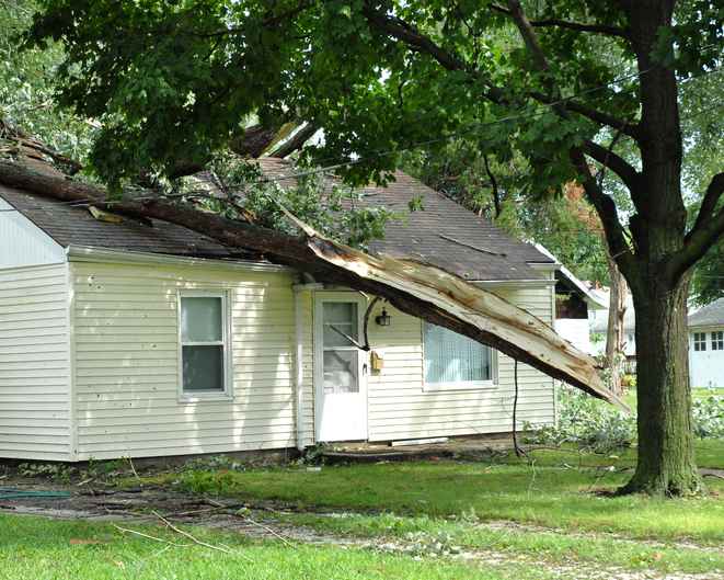 storm knocked a tree on a home