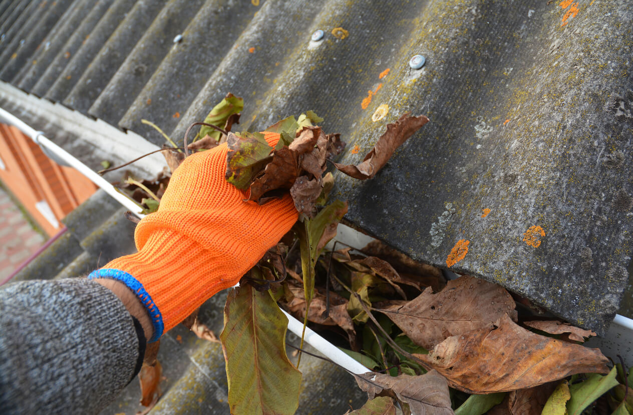 5 Gutter Cleaning Tips LANDMARK EXTERIORS