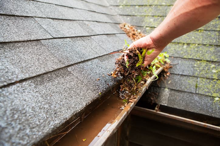 3 Common Issues From Clogged Gutters