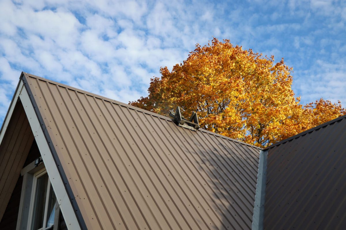 Brown metallic roof house under the autmn tree against blue sky .