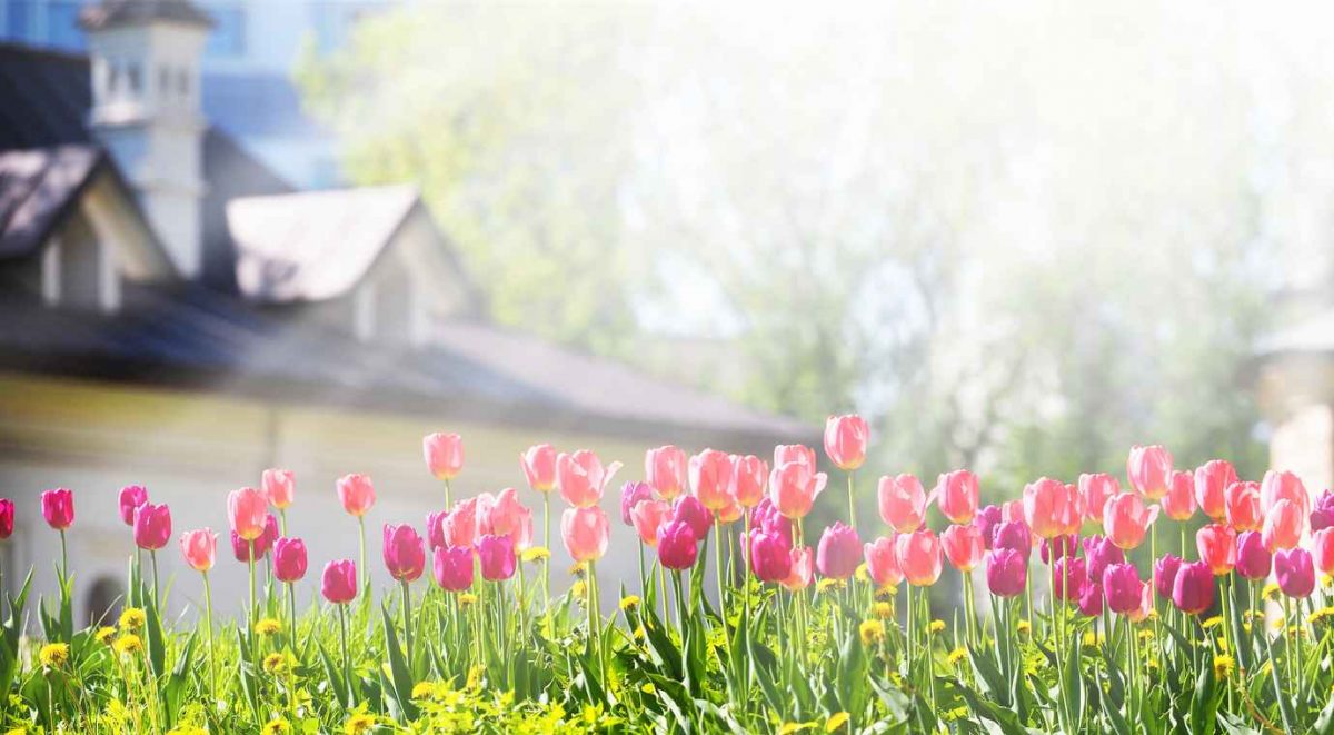 Spring Cleaning Your Home’s Roof