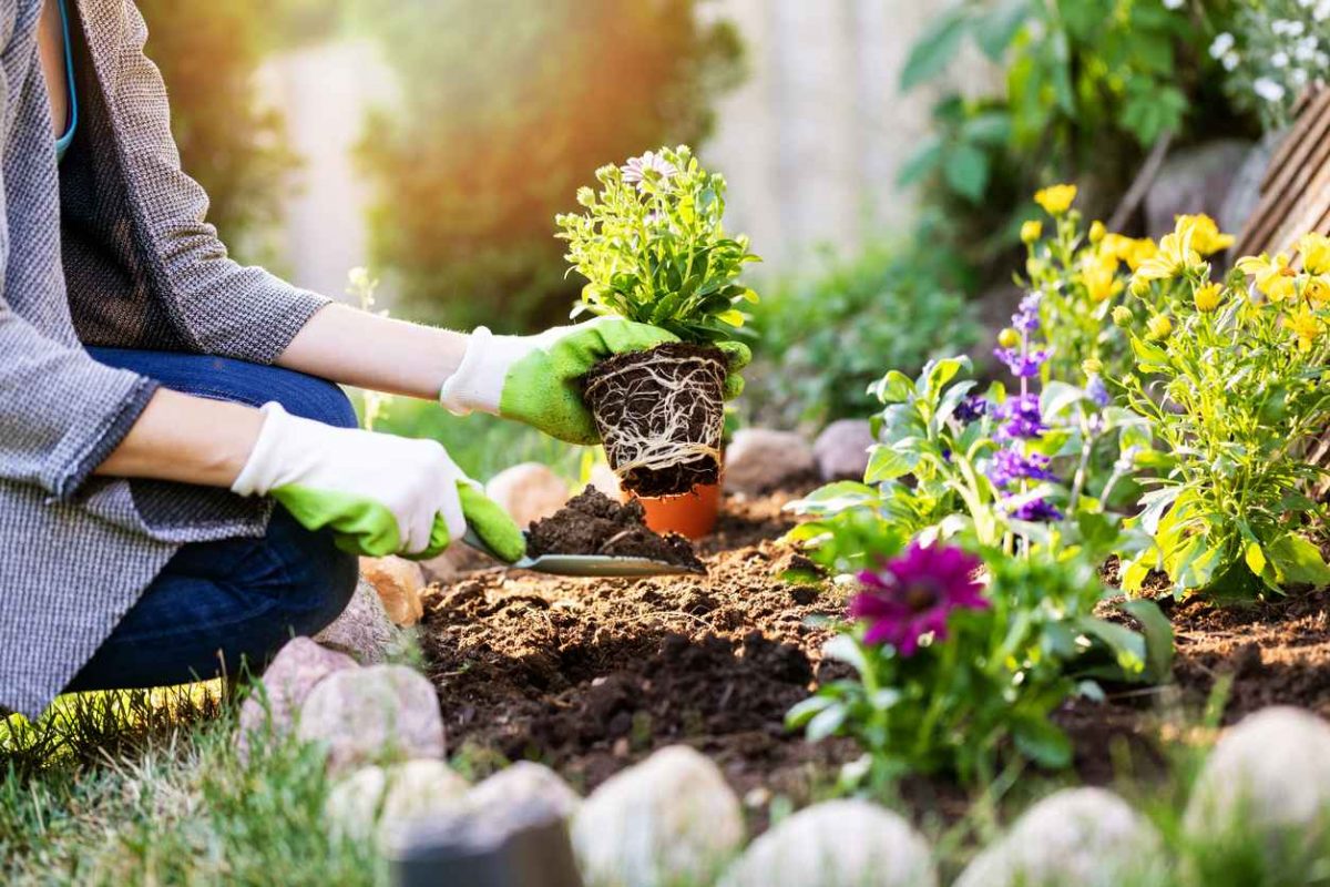 gardener planting flowers in garden bed - environmentally friendly tips for at home