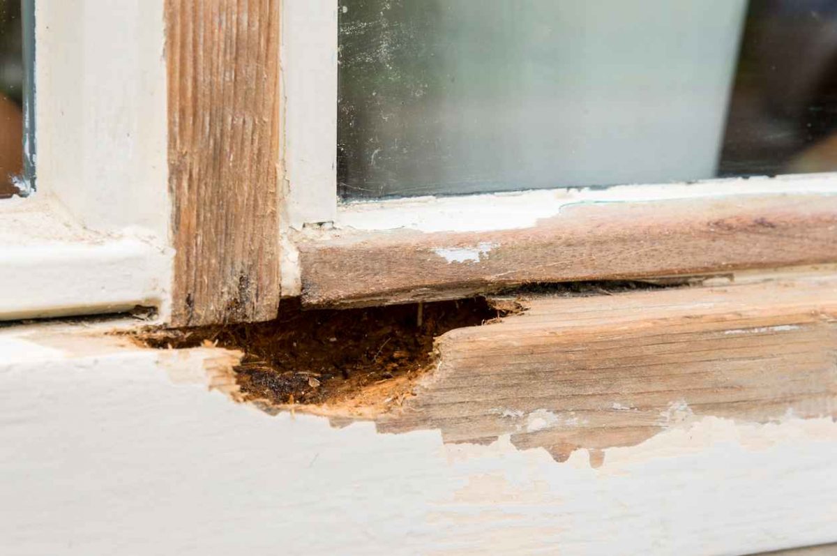 Window frame in need of replacement, with rotting wood and peeling paint