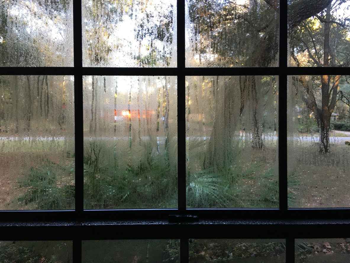 View though condensation inside poorly insulated windows on cold day