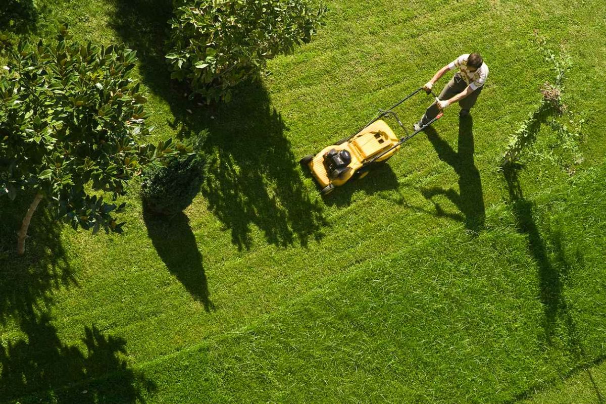 Overhead view of a man using lawn mower to cut his grass