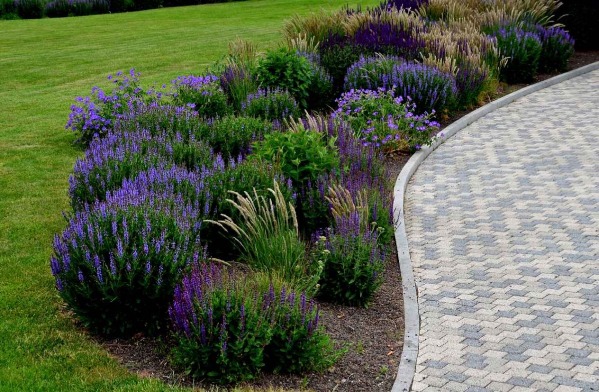 7 Ideas to Boost Your Home’s Curb Appeal