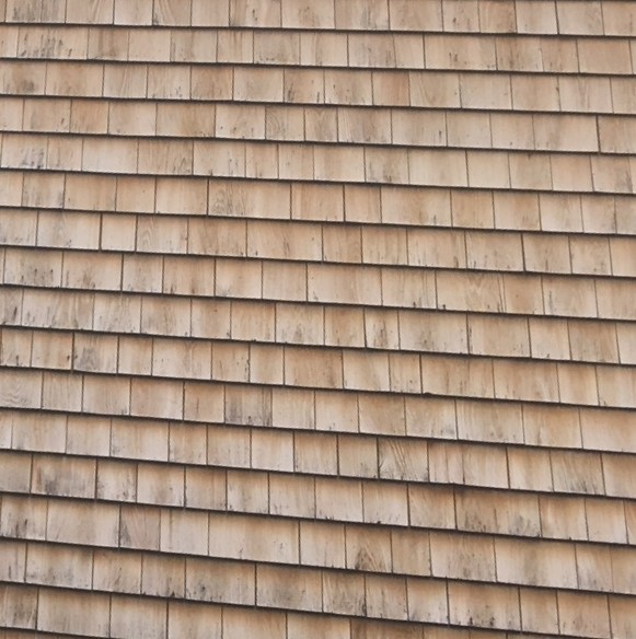 Cleaning Your Home’s Siding: Dos and Don’ts
